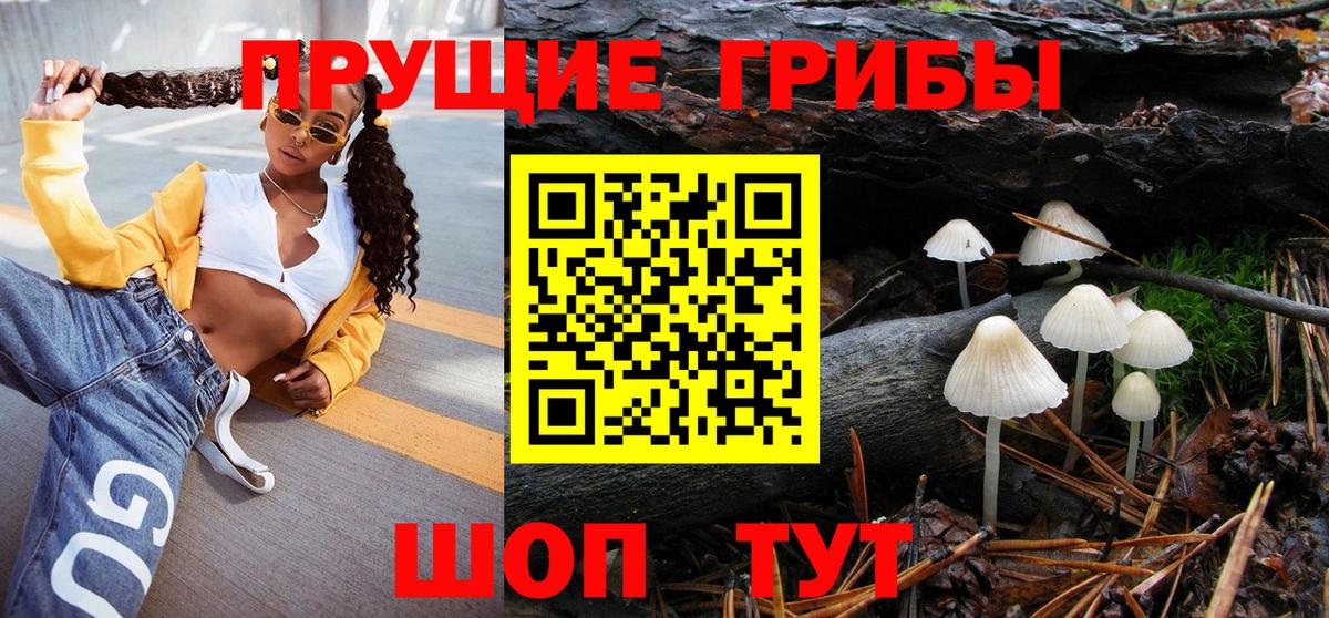 Псилоцибиновые грибы ЛСД  Псилоцибиновые грибы Magic Shrooms  Вход с VPN  Нефтекумск 